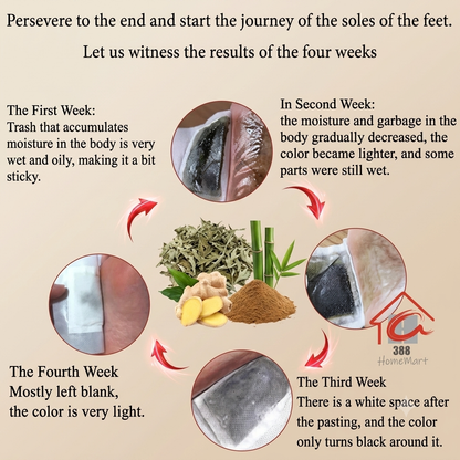 Overnight Cleansing Ginger Detox Foot Pads for Men & Women (10 Pairs)
